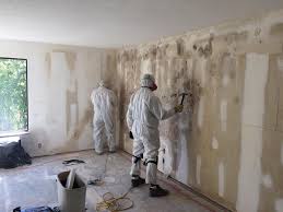 Best Basement Mold Removal  in Campbellsville, KY